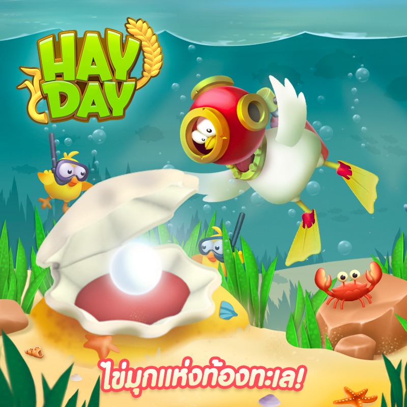 กลยุทธ์การจัด Layout